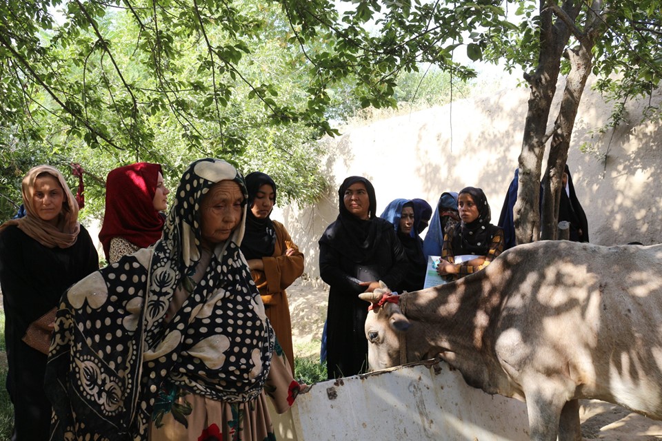 سکینه، مادر کندزی که نقش پدر را هم ایفا می‌کند