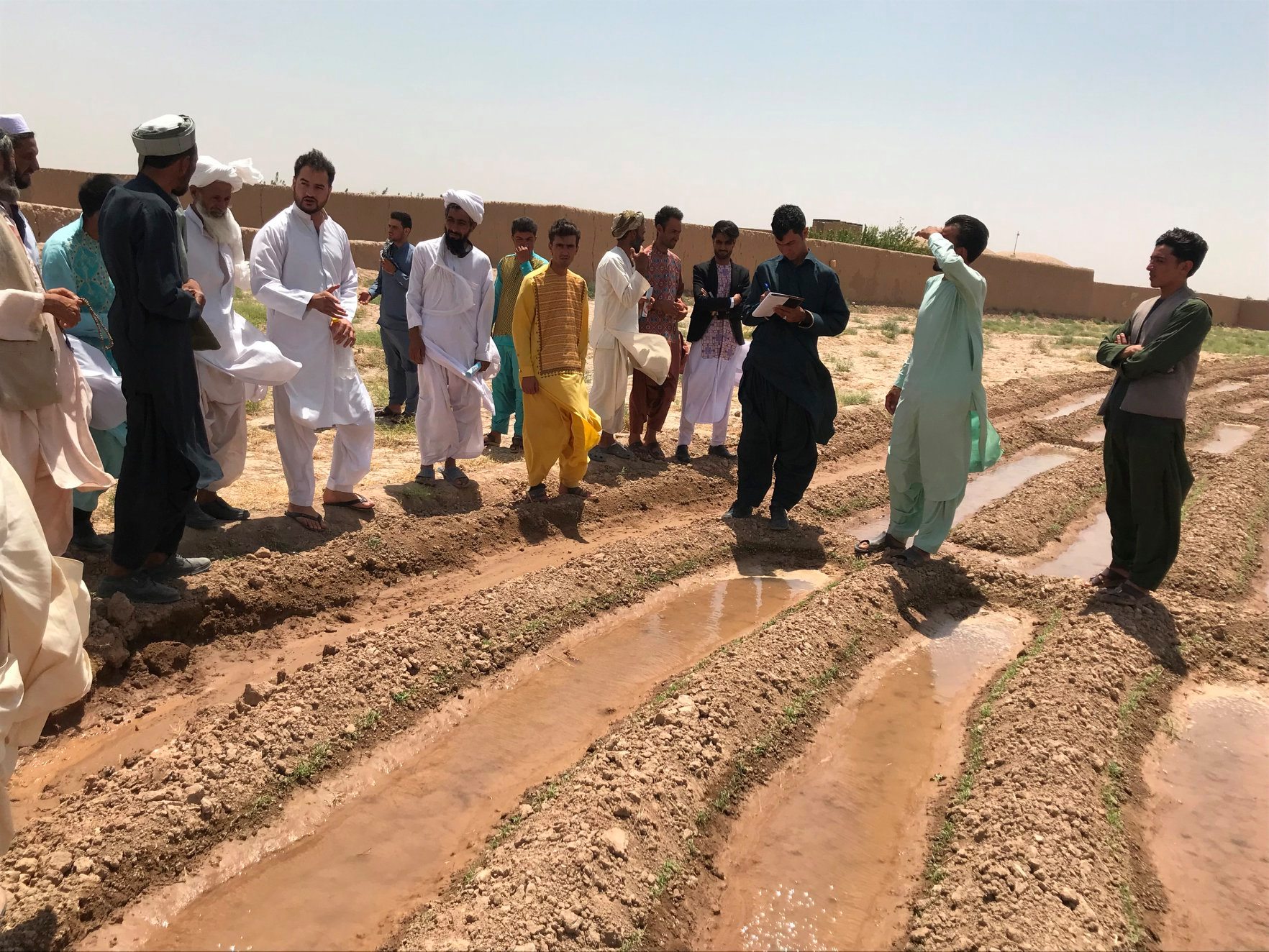 125 Veg Farmers Trained in Herat