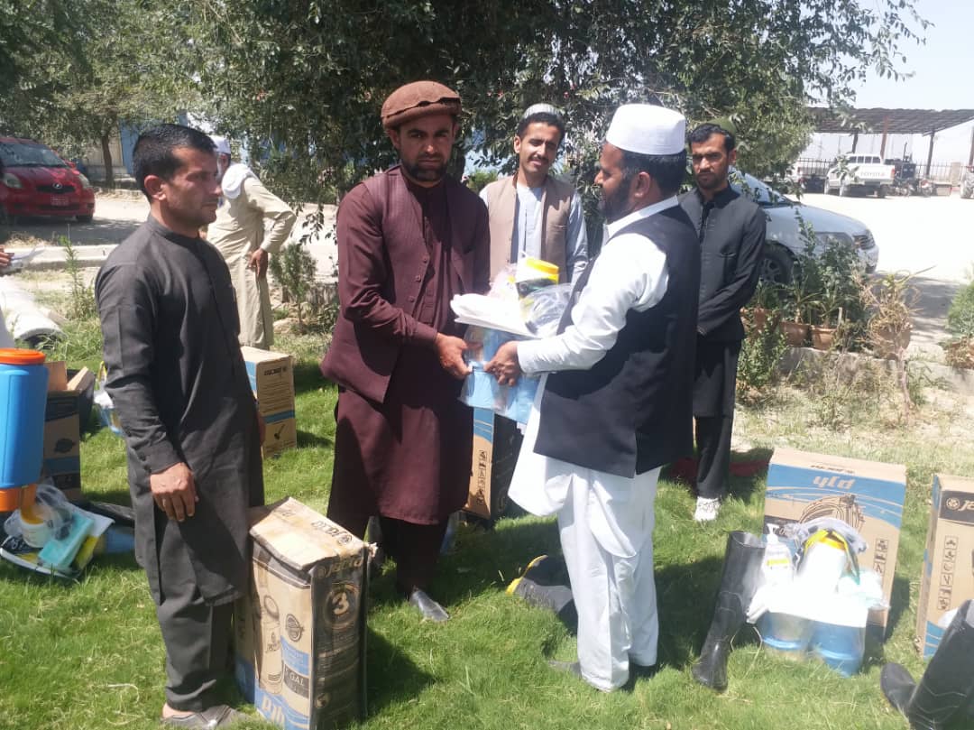 پکتیکا کې د کانګو تبې د مخنیوی کمپاین پیلیږي