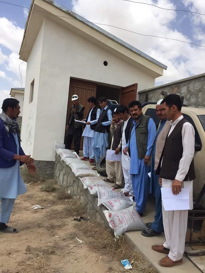 امسال ۱۲۰ جریب باغ عصری در جاغوری احداث شده است