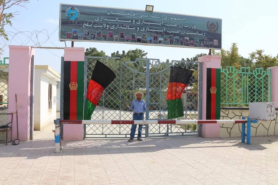 د ولايتونو دکرنې په رياستونو کې د بيرغ دملي ورځې په وياړ انځوريز البوم!