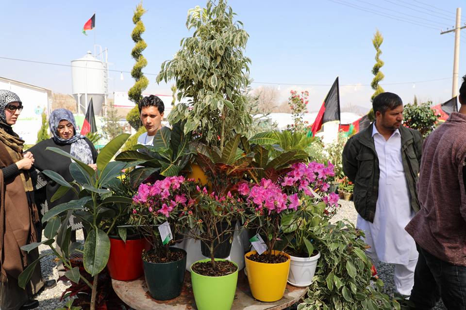 دـخپلواکۍ_جشن_او_دـکرنیزو_محصولاتو_نندارتون
