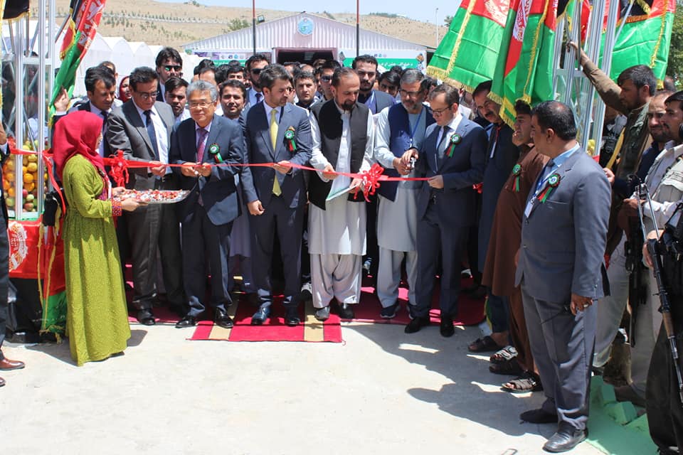 First Summer Agricultural Exhibition Inaugurated in Kabul’s Badam Bagh