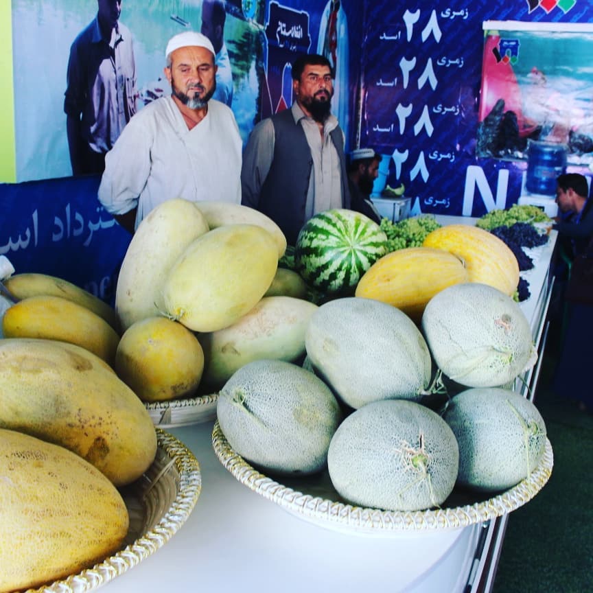 د کابل په بادام باغ کې د کورنیو محصولاتو د اوړني کرنیز نندارتون د دویمې ورځې انځورونه