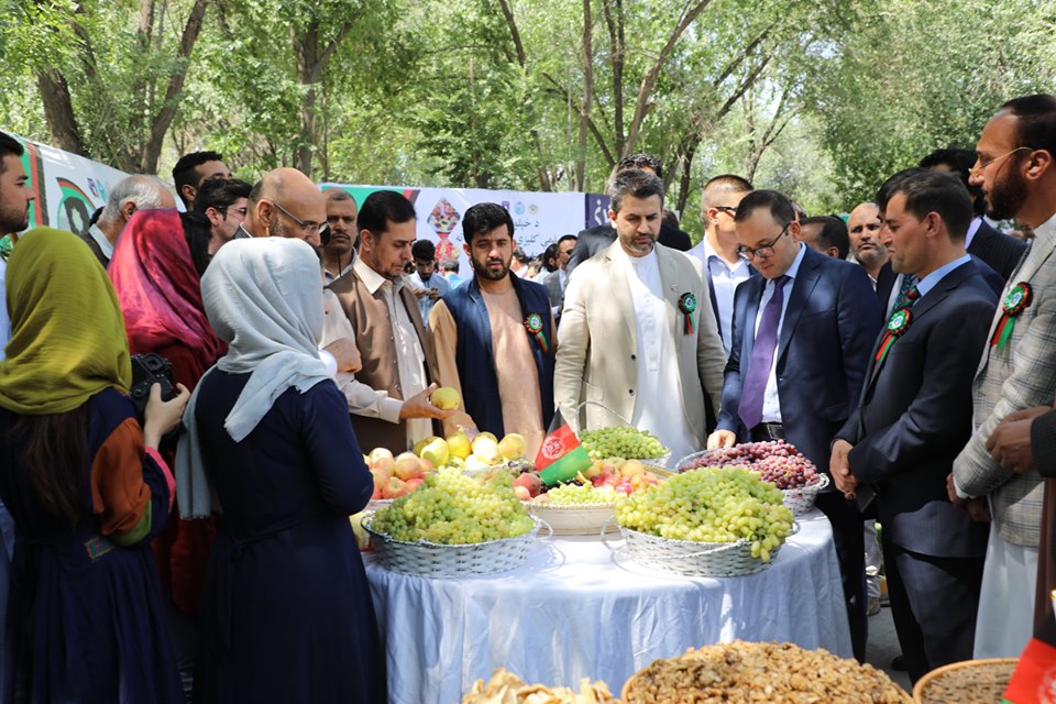 د کرنې وزارت له خوا دهېواد د خپلواکۍ د سلمې کلیزې په ویاړ ددې وزارت په انکړ کې د تازه مېوو او نور کرنیزو توکو یوه ورځنۍ نندارتون په لاره اچول شوې ده.