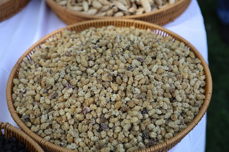 خپلواکۍ جشن ته په ځانګړې نندارتون کې ووچې مېوې!