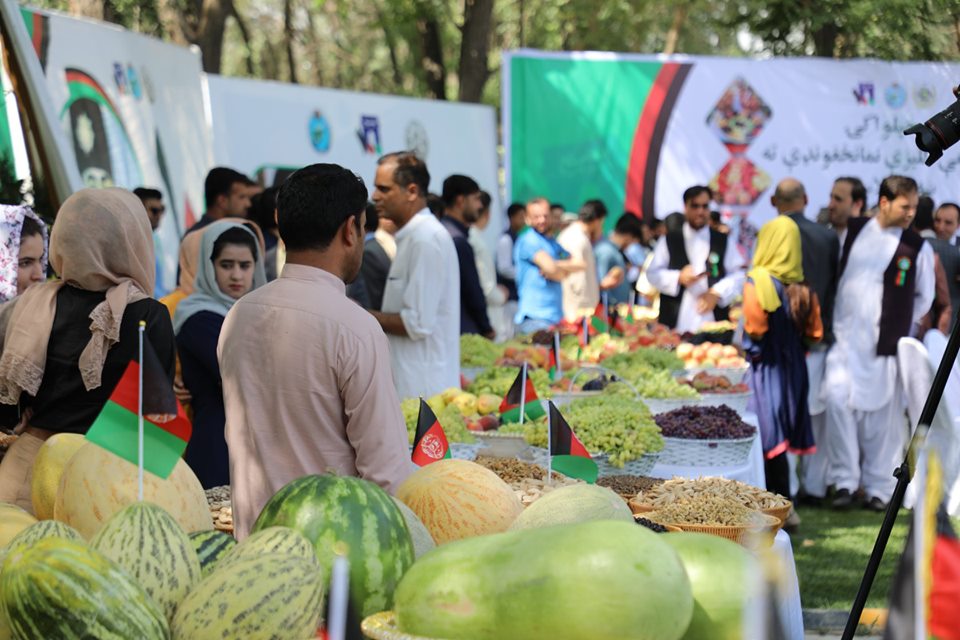 د خپلواکۍ په ویاړ د کرنې وزارت د تازه مېوو د نندارتون انځورونه!
