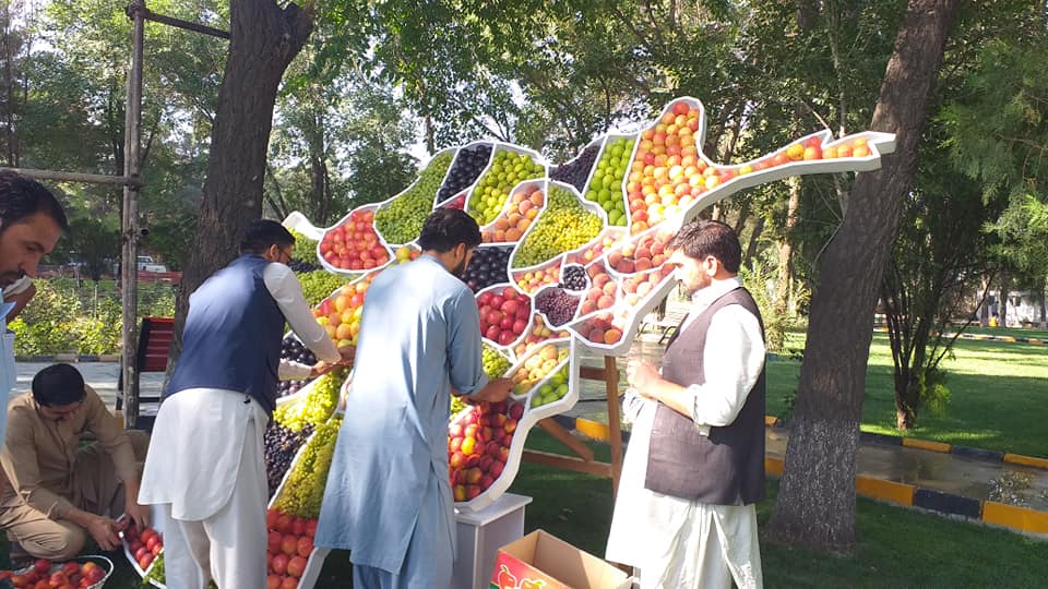 آماده‌گی‌ها برای برگزاری جشن صدمین سالروز استرداد استقلال کشور و نمایشگاه محصولات زراعتی در صحن وزارت زراعت، آبیاری و مالداری!