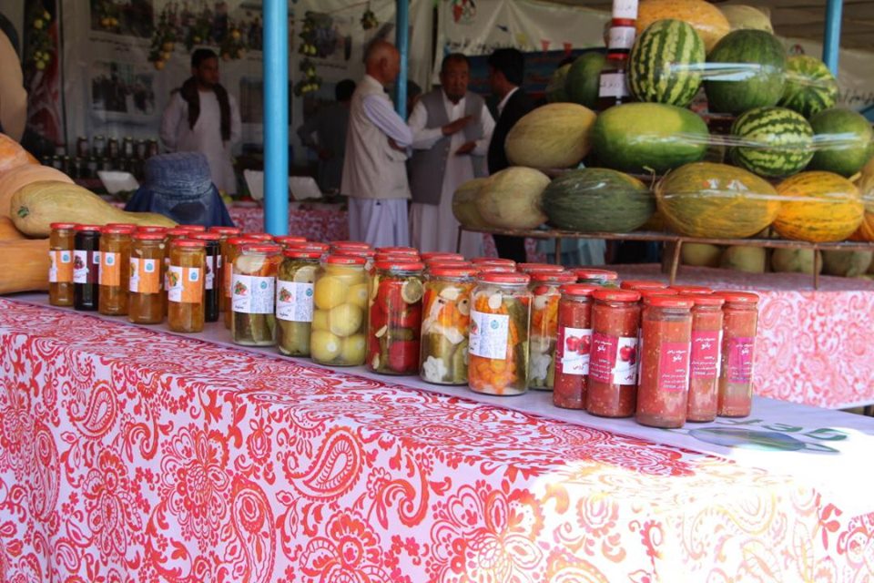 به مناسبت صدمین سالروز استرداد استقلال کشور نمایشگاه محصولات زراعتی در ولایت جوزجان برگزار شد.
