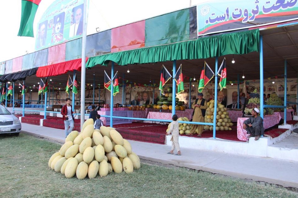 به مناسبت صدمین سالروز استرداد استقلال کشور نمایشگاه محصولات زراعتی در ولایت جوزجان برگزار شد.