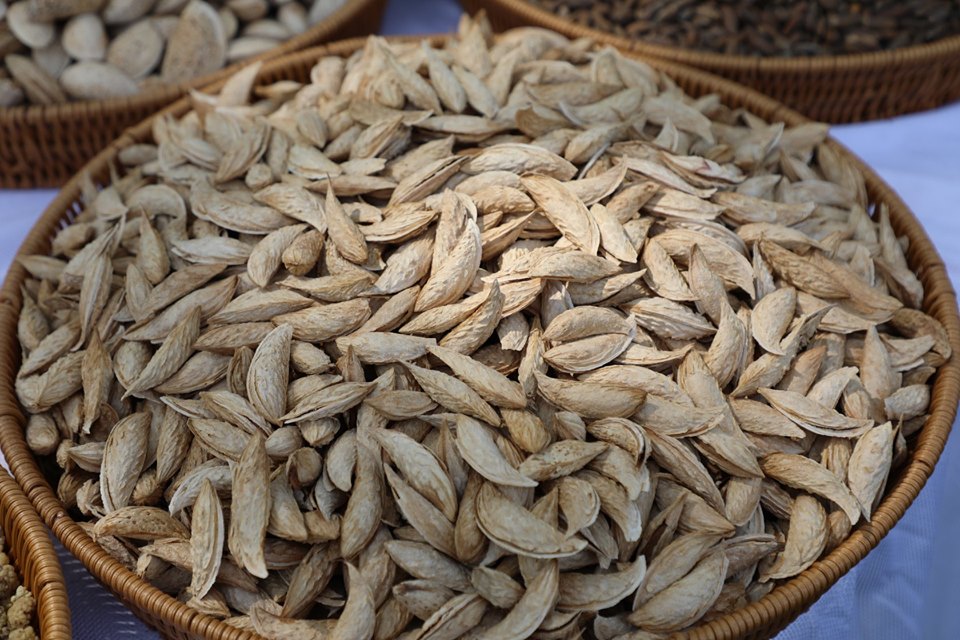 خپلواکۍ جشن ته په ځانګړې نندارتون کې ووچې مېوې!