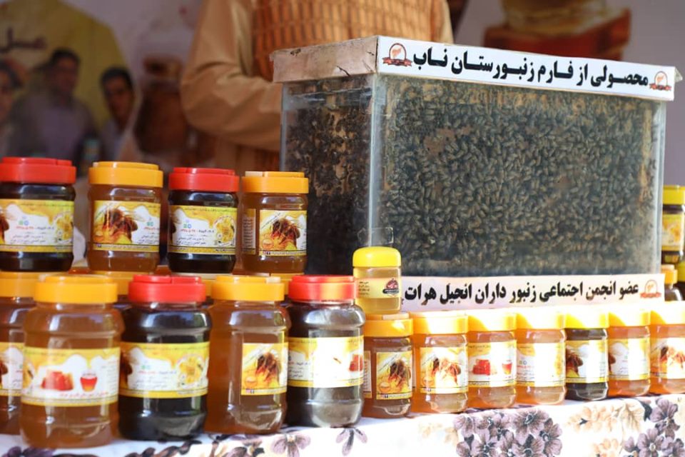 آلبوم تصویری عسل! #چهارمین_جشنواره_انگور_و_عسل_در_هرات