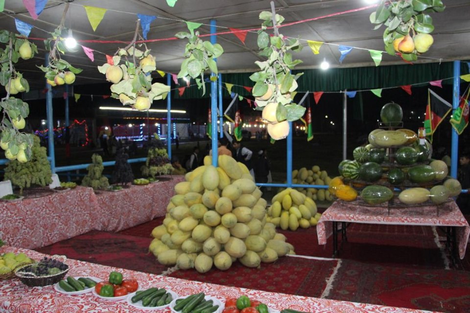 به مناسبت صدمین سالروز استرداد استقلال کشور نمایشگاه محصولات زراعتی در ولایت جوزجان برگزار شد.