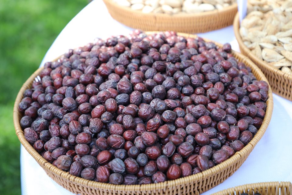 خپلواکۍ جشن ته په ځانګړې نندارتون کې ووچې مېوې!