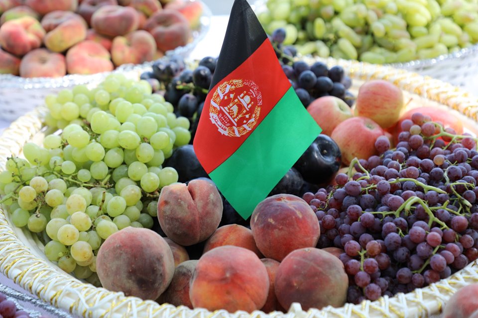 د خپلواکۍ په ویاړ د کرنې وزارت د تازه مېوو د نندارتون انځورونه!