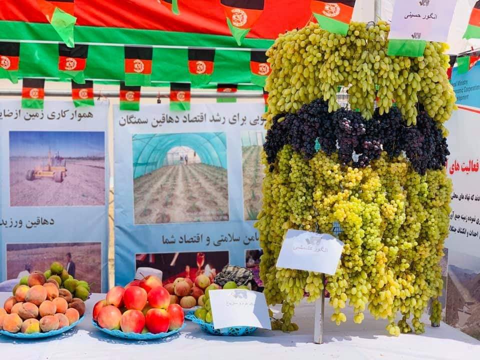 د هېواد د خپلواکۍ د سلمې کلیزې په ویاړ په سمنګان ولایت کې د کرنیزو توکو نندارتون جوړ شو.