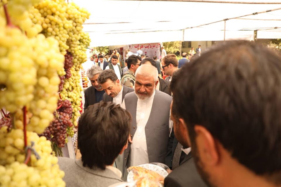 چهارمین جشنواره انگور در هرات!