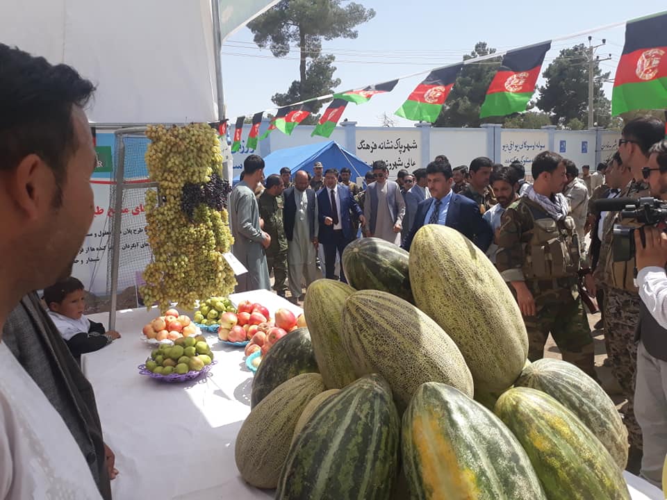 د هېواد د خپلواکۍ د سلمې کلیزې په ویاړ په سمنګان ولایت کې د کرنیزو توکو نندارتون جوړ شو.