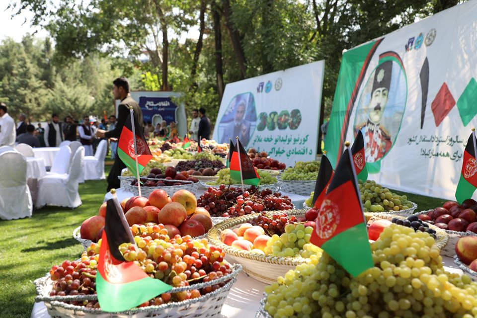 د کرنې وزارت له خوا دهېواد د خپلواکۍ د سلمې کلیزې په ویاړ ددې وزارت په انکړ کې د تازه مېوو او نور کرنیزو توکو یوه ورځنۍ نندارتون په لاره اچول شوې ده.