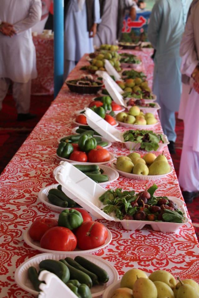 به مناسبت صدمین سالروز استرداد استقلال کشور نمایشگاه محصولات زراعتی در ولایت جوزجان برگزار شد.