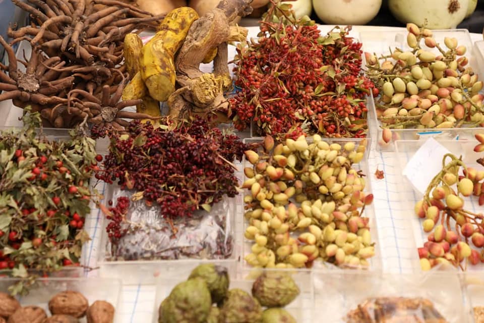 هرات کې د انګورو د څلورم جشنوارې انځوریز البوم!