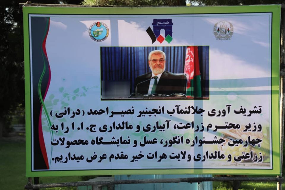تا لحظات دیگر چهارمین جشنواره انگور، عسل و نمایشگاه محصولات زراعتی در هرات با حضور نصیر احمد درانی، وزیر زراعت، آبیاری و مالداری و بعضی از مقامات ارشد حکومتی رسما آغاز خواهد شد.