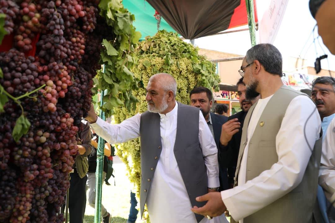 چهارمین «جشنواره‌ی انگور و عسل» هرات آغاز شد