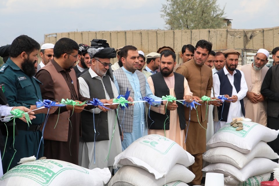 خوست کې ۲۵۰ بېوزله کورنیو لپاره د چرګانو واړه کورني فارمونو جوړولو لړۍ پیل شو
