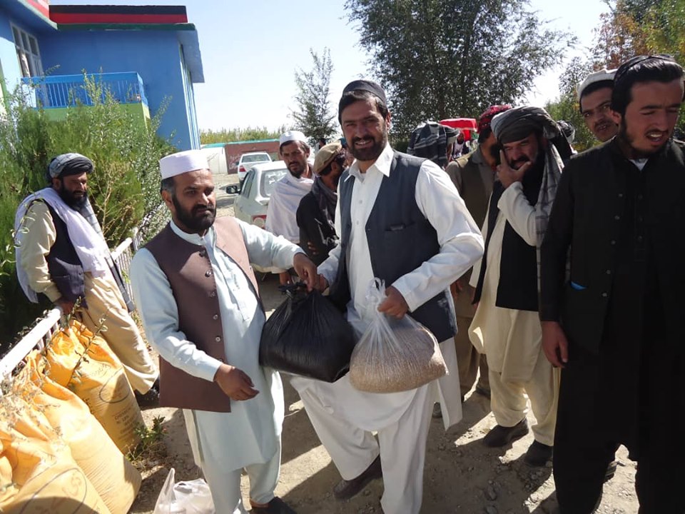 پکتیکا کې د غنمو ۲۸ ننداریزې قطعې جوړیږي