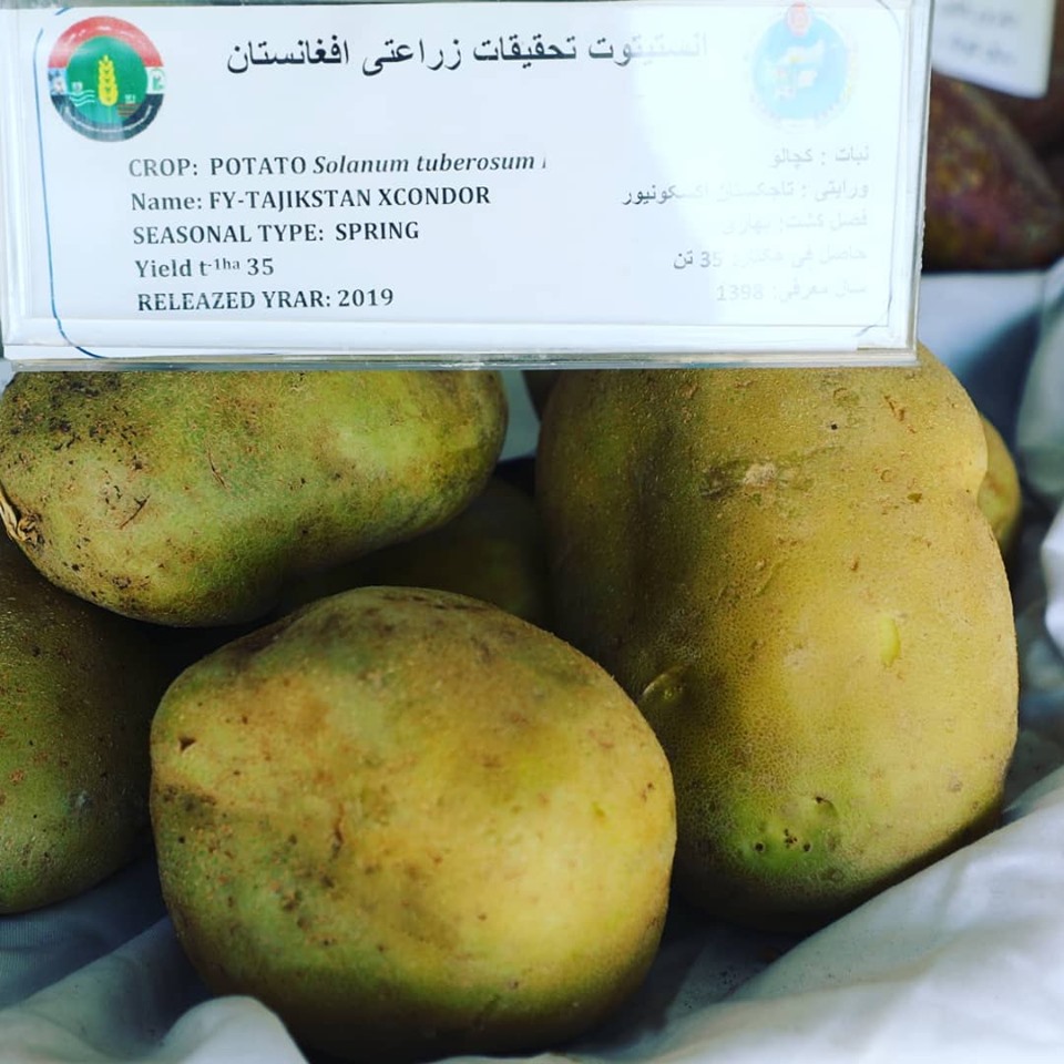 سبزیجات تازه در #بیست‌وچهارمین_نمایشگاه_محصولات_زراعتی
