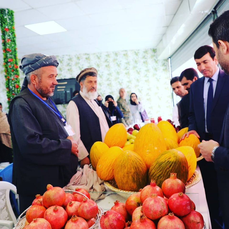 یک آلبوم گُلچین از بیست‌چهارمین نمایشگاه محصولات زراعتی در بادام‌باغ کابل.