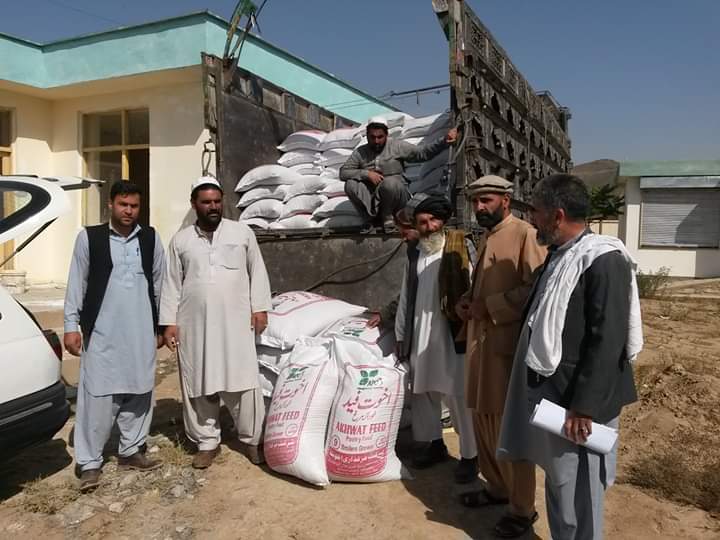  به ۲۵ خانواده در لوگر وسایل مرغ‌داری توزیع شد