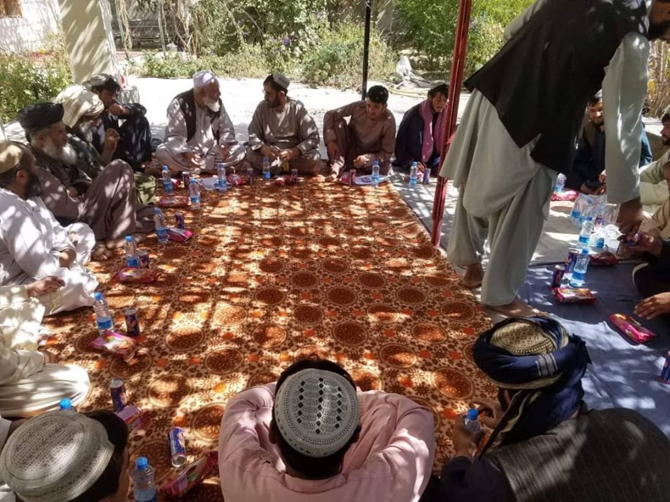 زابل کې د انارو د تولیدوونکو ټولنه جوړه شوه