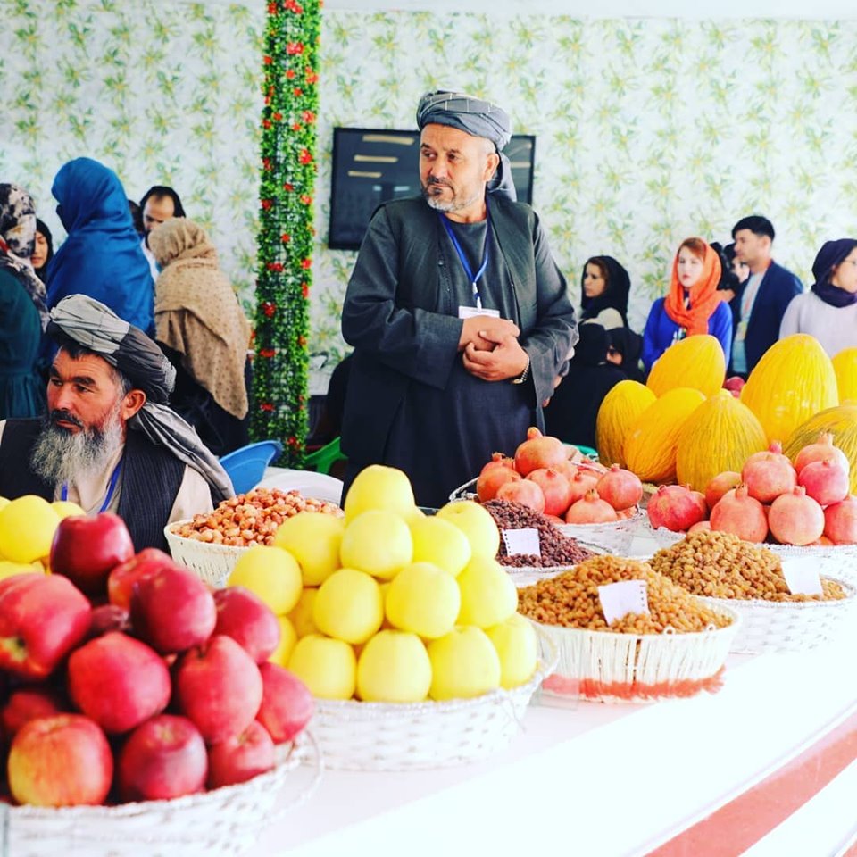 یک آلبوم گُلچین از بیست‌چهارمین نمایشگاه محصولات زراعتی در بادام‌باغ کابل.