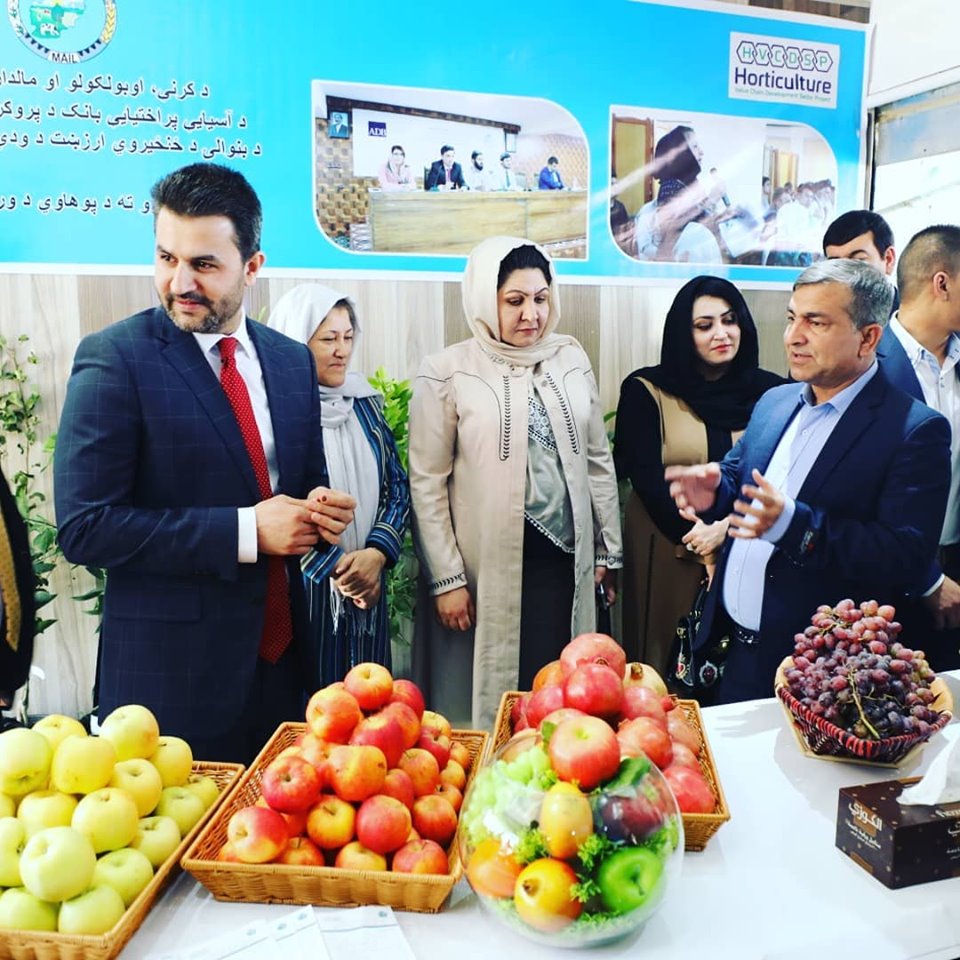 یک آلبوم گُلچین از بیست‌چهارمین نمایشگاه محصولات زراعتی در بادام‌باغ کابل.