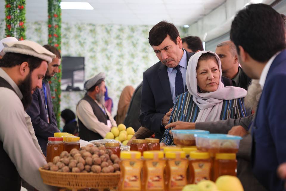  آلبوم ویژه از بیست‌چهارمین نمایشگاه محصولات زراعتی 
