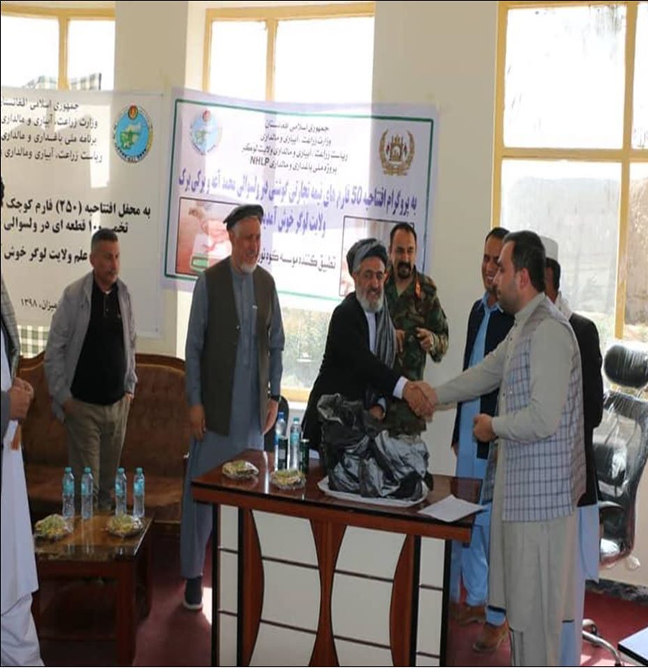 لوګر کې پر ۲۵۰ بېوزله کورنیو د هګیو چرګانو د وېش لړۍ بشپړ شو