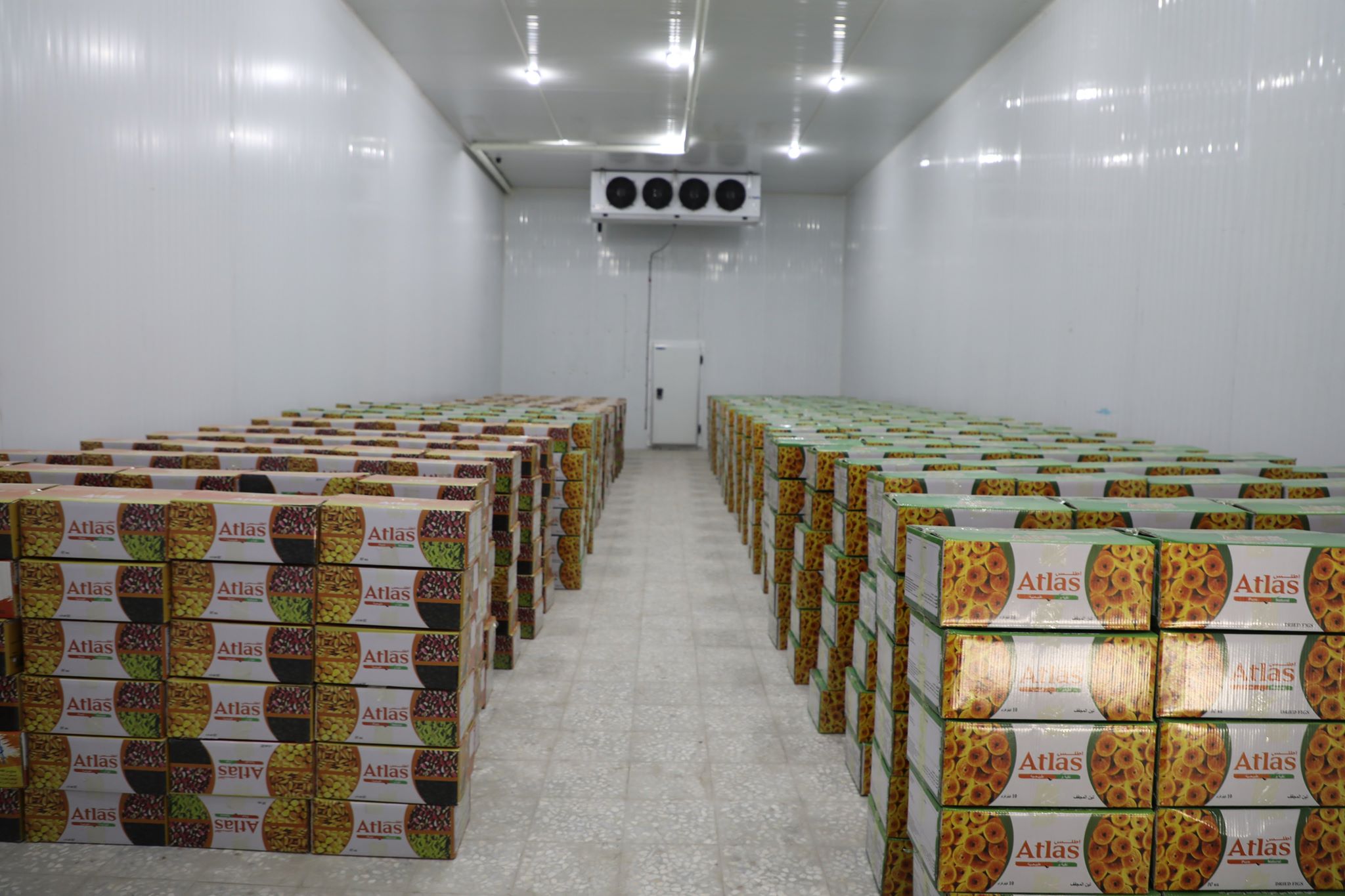 500 Tons-Capacity Cold Storage Facility Utilizes in Herat