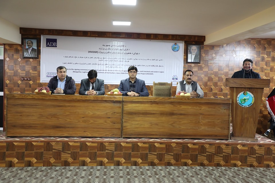  په درې ختیځو ولایتونو کې د ستروسو ۱۱۳ جریبه بڼونه جوړیږي