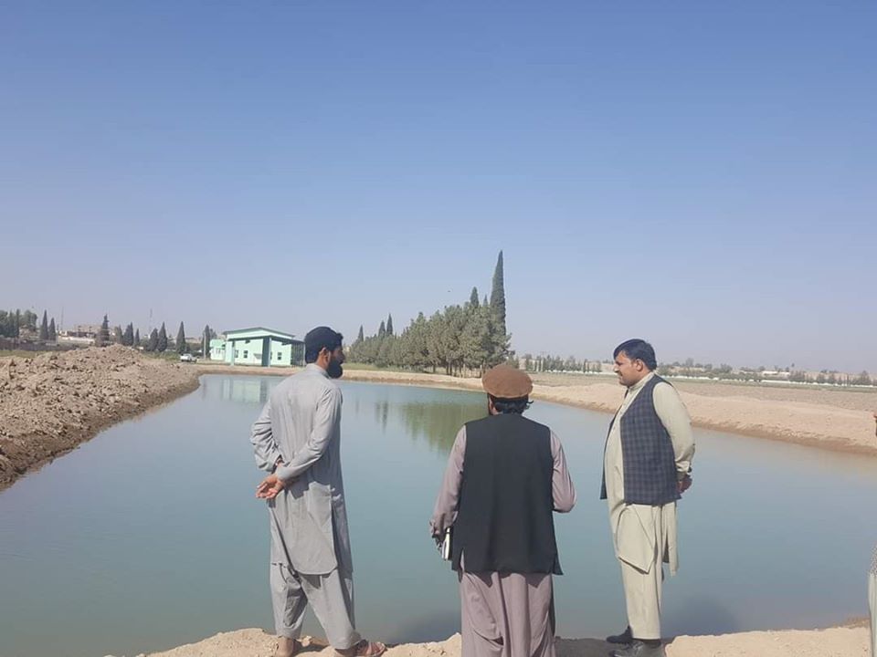  هلمند کې د کب روزنې فارمونه د پام وړ ډېر شوي