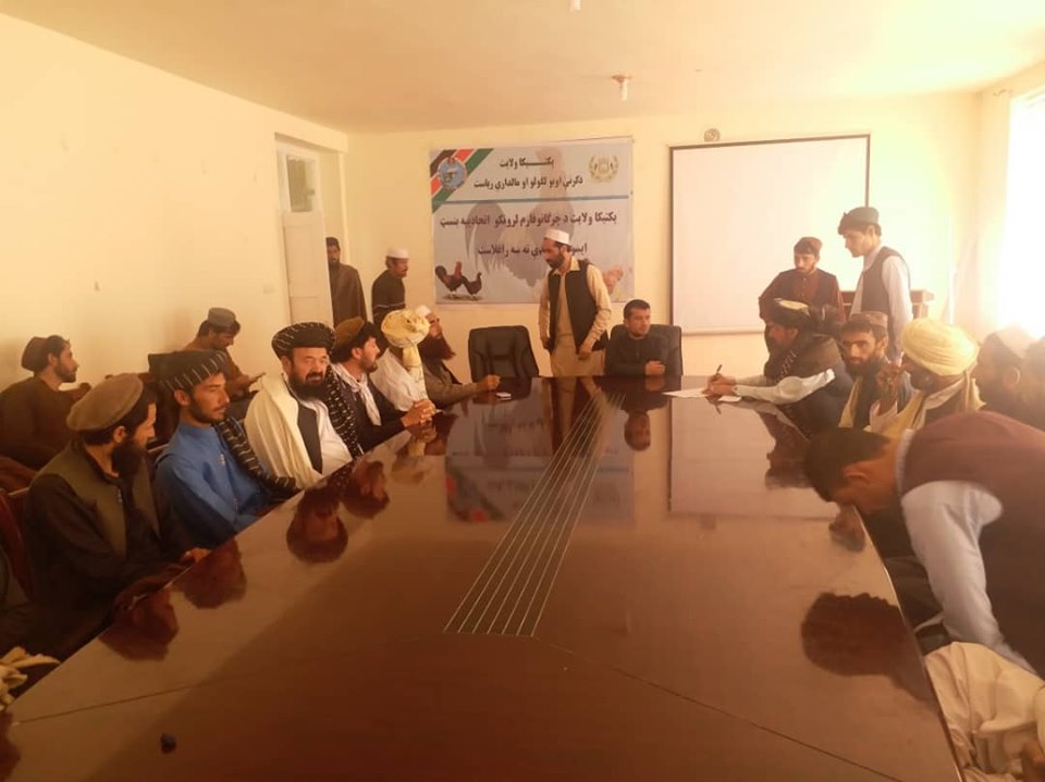  پکتیکا کې د چرګانو روزنې ټولنه جوړه شوه