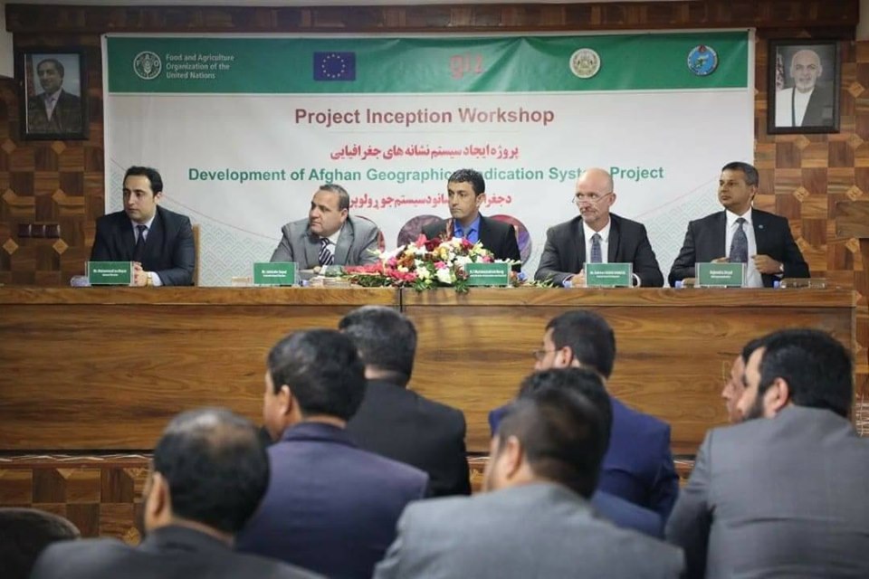 MAIL Held GI Consultation Workshop
