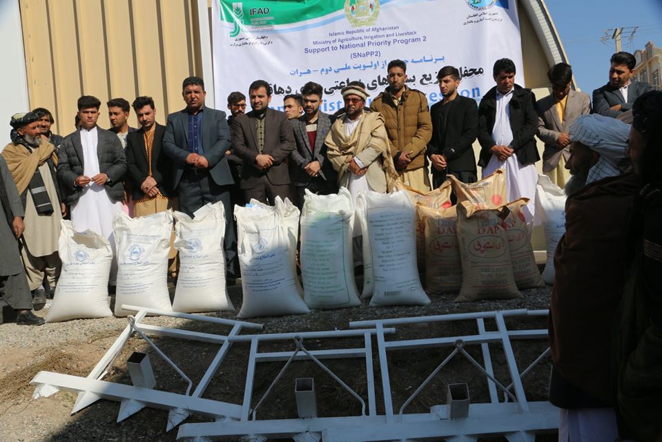 MAIL Distributes Over Five Tons of Improved Wheat Seeds to Herat Farmers