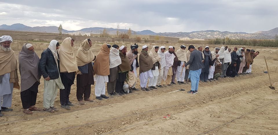 پکتیا کې د جلغوزې او غوزانو د ځنګلونو د بیارغونې چارې کړندي شوي
