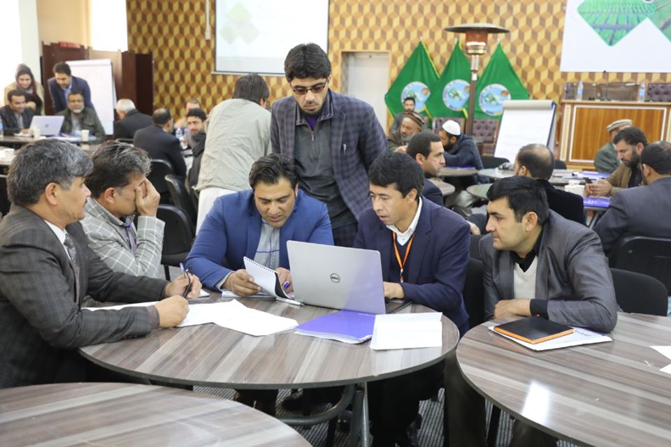آلبوم تصویری از گروپ‌های کاری کنفرانس رشد زراعت! این گروپ‌ها روی انکشاف نباتات تیلی، جنگل‌ها، حبوبات، سبزی‌ها، غله‌‌ها، لبنیات، مالداری، میوه‌های تازه، میوه‌های خشک و نباتات طبی صحبت نموده و طرح‌های خویش را شریک ساختند.