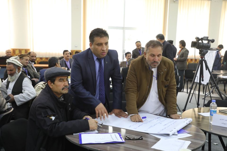 آلبوم تصویری از گروپ‌های کاری کنفرانس رشد زراعت! این گروپ‌ها روی انکشاف نباتات تیلی، جنگل‌ها، حبوبات، سبزی‌ها، غله‌‌ها، لبنیات، مالداری، میوه‌های تازه، میوه‌های خشک و نباتات طبی صحبت نموده و طرح‌های خویش را شریک ساختند.