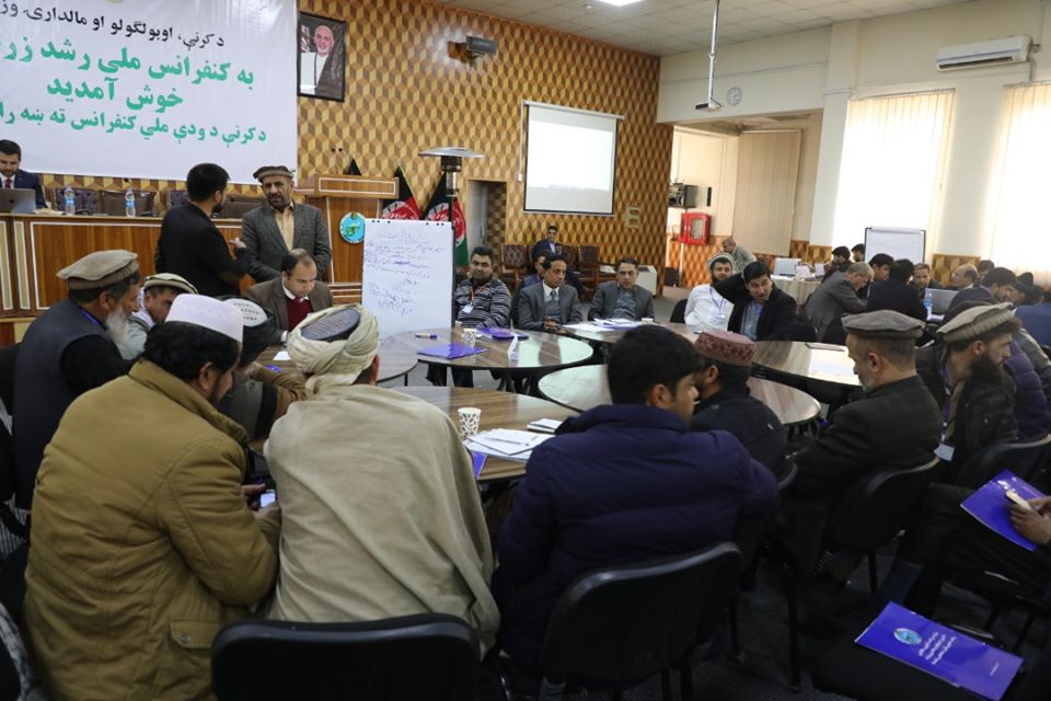 آلبوم تصویری از گروپ‌های کاری کنفرانس رشد زراعت! این گروپ‌ها روی انکشاف نباتات تیلی، جنگل‌ها، حبوبات، سبزی‌ها، غله‌‌ها، لبنیات، مالداری، میوه‌های تازه، میوه‌های خشک و نباتات طبی صحبت نموده و طرح‌های خویش را شریک ساختند.