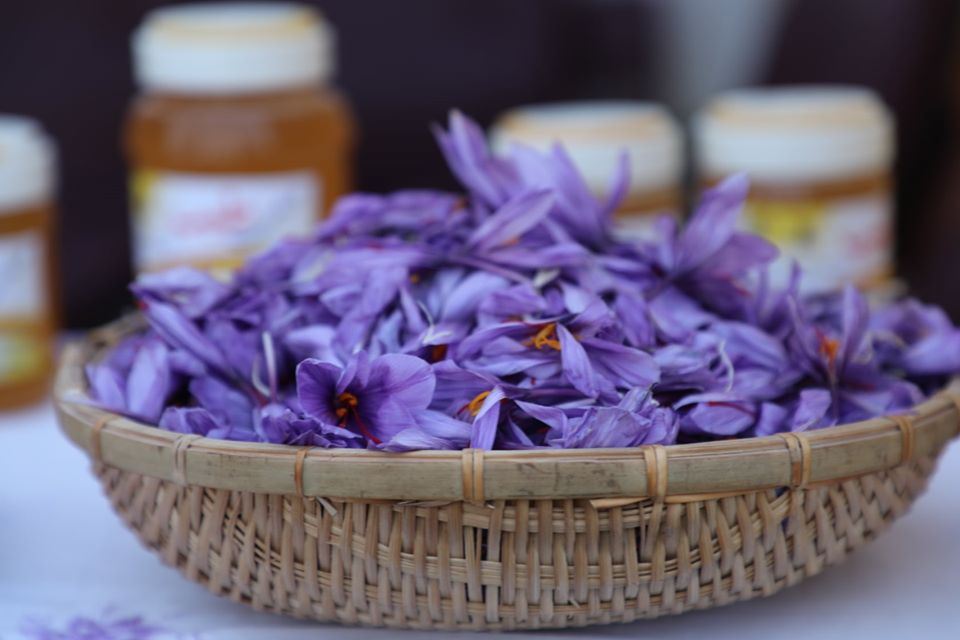 آلبوم ویژه از پنجمین جشنواره گُل زعفران در هرات!