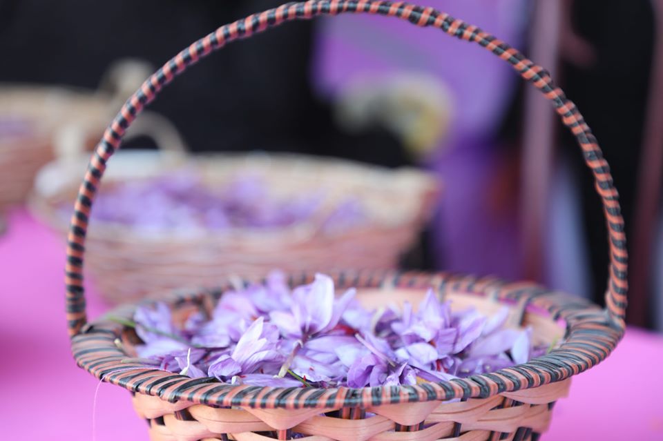 آلبوم ویژه از پنجمین جشنواره گُل زعفران در هرات!