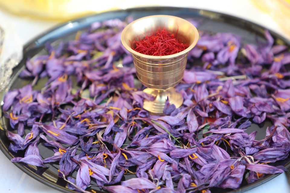 آلبوم ویژه از پنجمین جشنواره گُل زعفران در هرات!